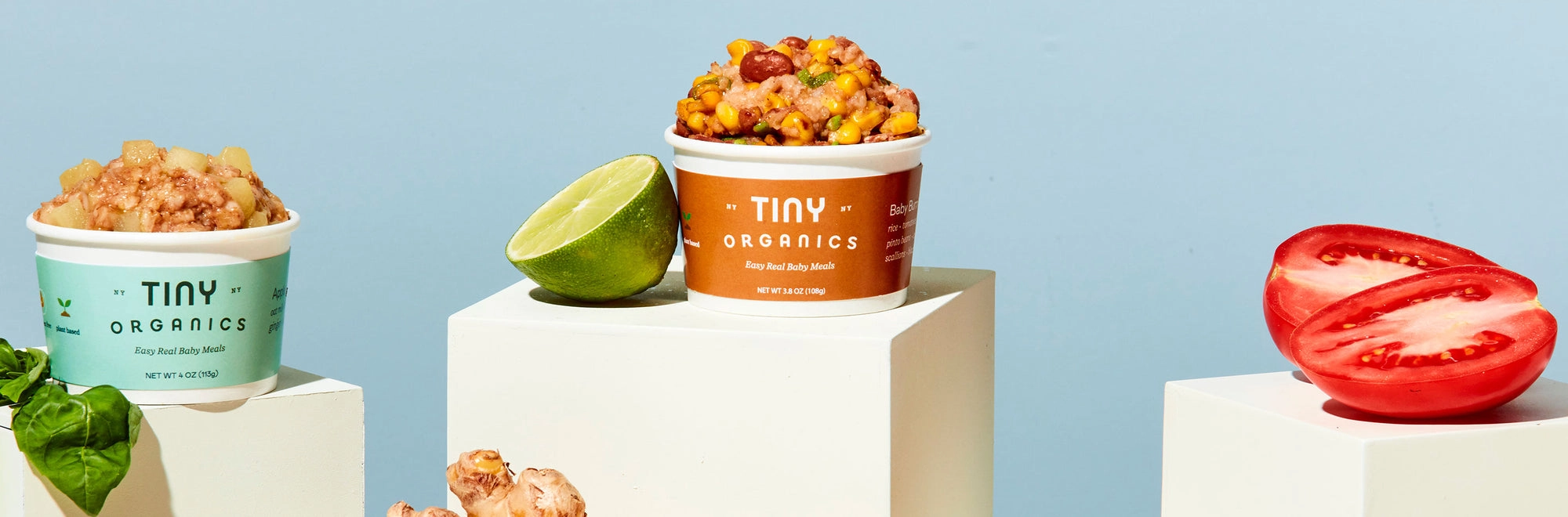 Wide banner photo from the Tiny Organics story page